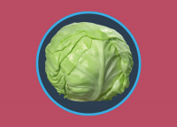 Капуста